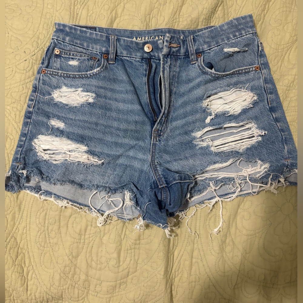 American Eagle Curvy Fit Shorts